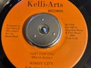 Modern / Crossover Soul - Windy City  “Just For You” Kelli-Arts records
