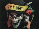 GUNS N` ROSES - Skulls n` Bones + rare Picture LP / Fan-Club-Edition Canada