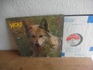 DARRYL WAY'S WOLF Canis Lupus UK 1973 LP MINT-/VG++ Prog Psych
