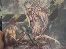 Cannibal Corpse: Bloodthirst - Limited Edition LP Marbled Vinyl + Poster