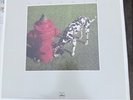 Rush Signals Vinyl LP 1982 Mercury SRM-1-4063 With Lyric Insert
