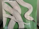 DEFTONES PRIVATE MUSIC CLEAR VINYL LP NEW SEALED
