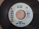 Soul ( HONEY AND THE BEES ) on Arctic - (You Better) Go Now - 45RPM -