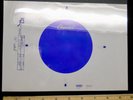 Capitol Records promo LP record  in house label art BEATLES Beach Boys McCartney