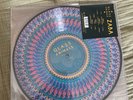 NEW and RARE Glass Animals Zaba Zoetrope 2LP Picture Disc Vinyl Record