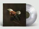 ST. PAUL  THE BROKEN BONES YOUNG SICK CAMELLIA LP