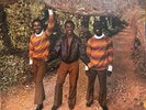 The Maytals - Monkey Man (LP) (Mint (M)) - 4083693223