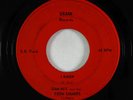 Garage Surf Breaks 45 - Dan Nix & the Teen Sounds - I Know - Crash - rare