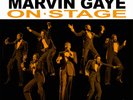 Marvin Gaye Recorded Live On Stage (Special Edition) (Vinyl)