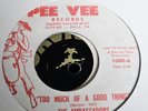 THE AMBASSADORS Too Much Of A Good Thing USA repress 7