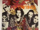 CAIFANES - EL DIABLITO- 2016 MEXICAN LP REISSUE FACTORY SEALED, PICTURE DISC