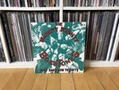 The Mighty Mighty Bosstones - Don’t Know How To Party , Vinyl LP 1993 Rare