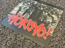 Thomas Mapfumo Hokoyo Vinyl Album Zimbabwe Afrobeat Fela Kuti Tony Allen