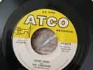 The Coasters UK 7