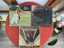 ROD STEWART LPs x 3  Gasoline Alley An Old Raincoat Every Picture VERTIGO swirl