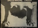 Saccharine Trust - Paganicons - 1985 -  Vinyl - 12