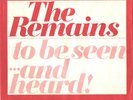 THE REMAINS-RARE GARAGE ROCK PICTURE SLEEVE+RED MARBLE VINYL 45-(DIDDY WAH DIDDY