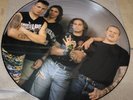Böhse Onkelz Picture Disc Vinyl LP Lügenmarsch Pinke Schrift