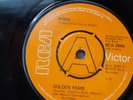 DAVID BOWIE  GOLDEN YEARS 7