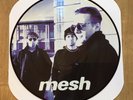 mesh 12“ Picture Disc Vinyl LP In this Place Forever Schweden Nr. 92/200