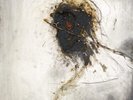 Peter Gabriel Passion: Music for the Last Temptation of Chri (Vinyl) (US IMPORT)