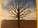 Biffy Clyro - Opposites: The Sand At The Core Of Our Bones, Vinyl , Part 1