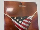 The Black Crowes : Amorica. Vinyl 12