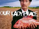 Our Lady Peace Happiness... Is Not A Fish That You Can Catch ) (Limited Edition,