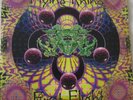 Flying Rhino - First Flight LP (1996) 3 x 12
