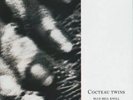 Cocteau Twins- Blue Bell Knoll - Vinyl Record