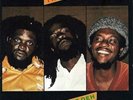 The Itals - Brutal Out Deh (LP) (Near Mint (NM or M-)) - 4094592384