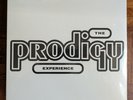 The Prodigy – Experience  [2x 12