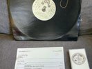 (SIGNED) The Avalanches - A Different Feeling (12