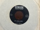 RARE Okla Teener Rock 45 Roger Borden & The Viscounts - Hey Little Judee VG++