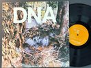 DNA Arto Lindsay American Clave LP 1981 