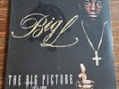 Big L - Big Picture 2 LP NEW OLD STOCK SEALED Rawkus RARE FREE SHIP in US