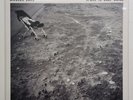 Nicolas Jaar - Space Is Only Noise [CSS055-2] NM/NM Vinyl LP - Too Many Kids