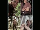 Bill Withers - Still Bill (Limited Edition) (Translucent Green Vinyl) [VINYL]