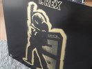 Lp- T.Rex  Electric Warrior, RE, Gatefold Cover, Reprise Records USA , 2014