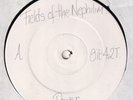 GOTH --  FIELDS OF THE NEPHILIM -- POWER  --UK   12
