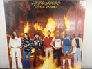Lynyrd Skynyrd Street Survivors Vinyl LP Record Album MCA 3029 SEALED