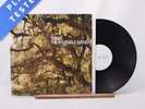 Travis The Invisible Band A1 B1 LP Album Vinyl Record ISOM 25LP - NM/EX