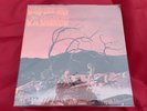 C A QUINTET TRIP THRU HELL REPRESS MINT 1969 PSYCHEDELIC CLASSIC
