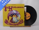 The Jimi Hendrix Experience Are You Experienced LP Album Vinyl Record - NM/EX
