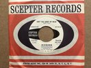 Dickens Don’t Talk About My Music RARE NRBQ Brown Acid Scepter Promo 45rpm