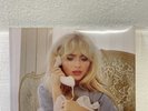 SABRINA CARPENTER Pink Champagne Liquid Fill Man's Best Friend Vinyl LP In Hand