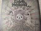 Enter Shikari Take to the Skies Vinyl pink - Signed Rare