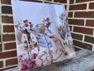 Sabrina Carpenter  Champagne Liquid Filled Mans Best Friend Vinyl LP /5000