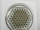 Bring Me The Horizon Sempiternal 10th Anniversary Vinyl Pictiure Disc Minor Mark