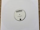 The Molotovs Wasted On Youth White Label New Vinyl
